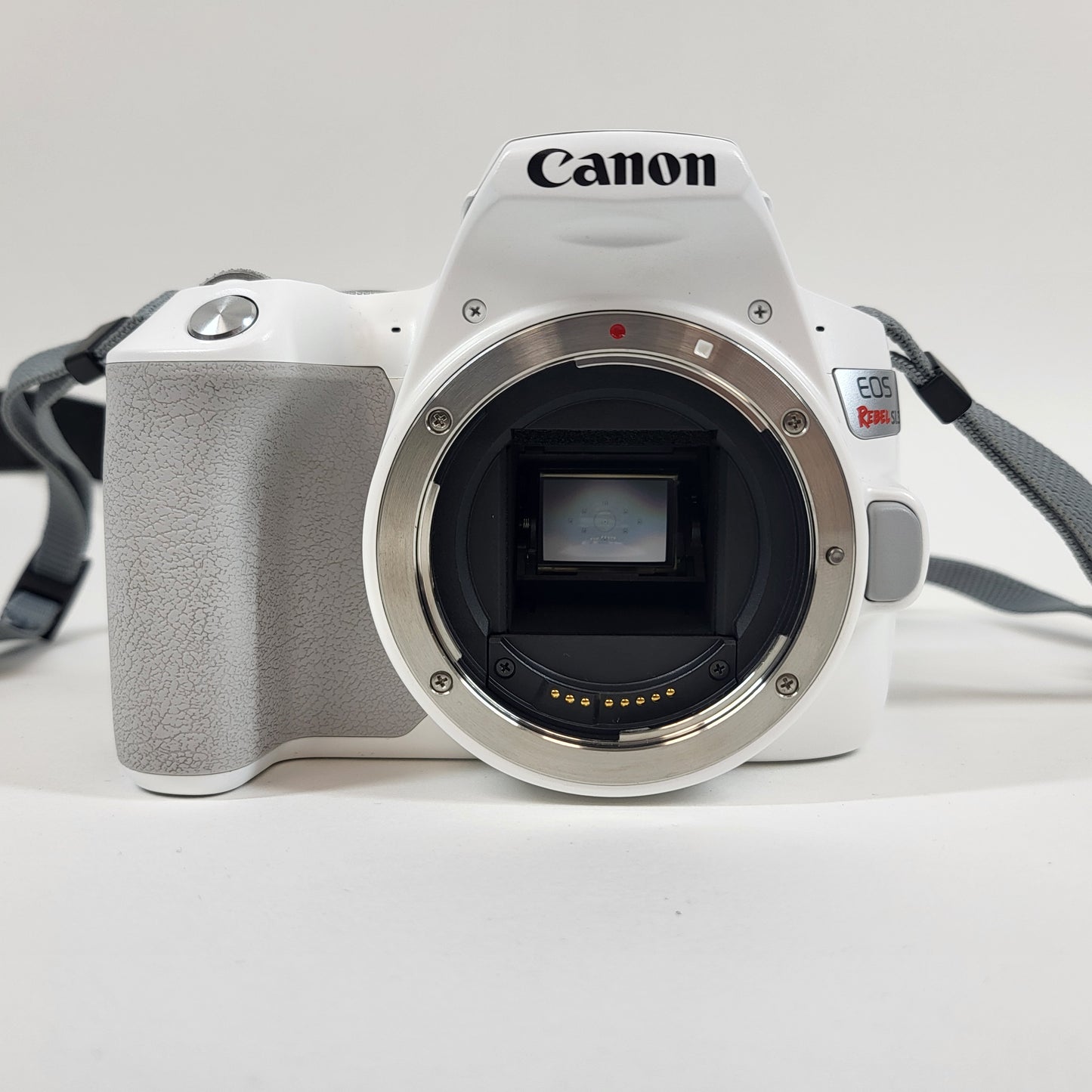 Canon EOS Rebel SL3 24.1MP Digital SLR DSLR Camera Bundle
