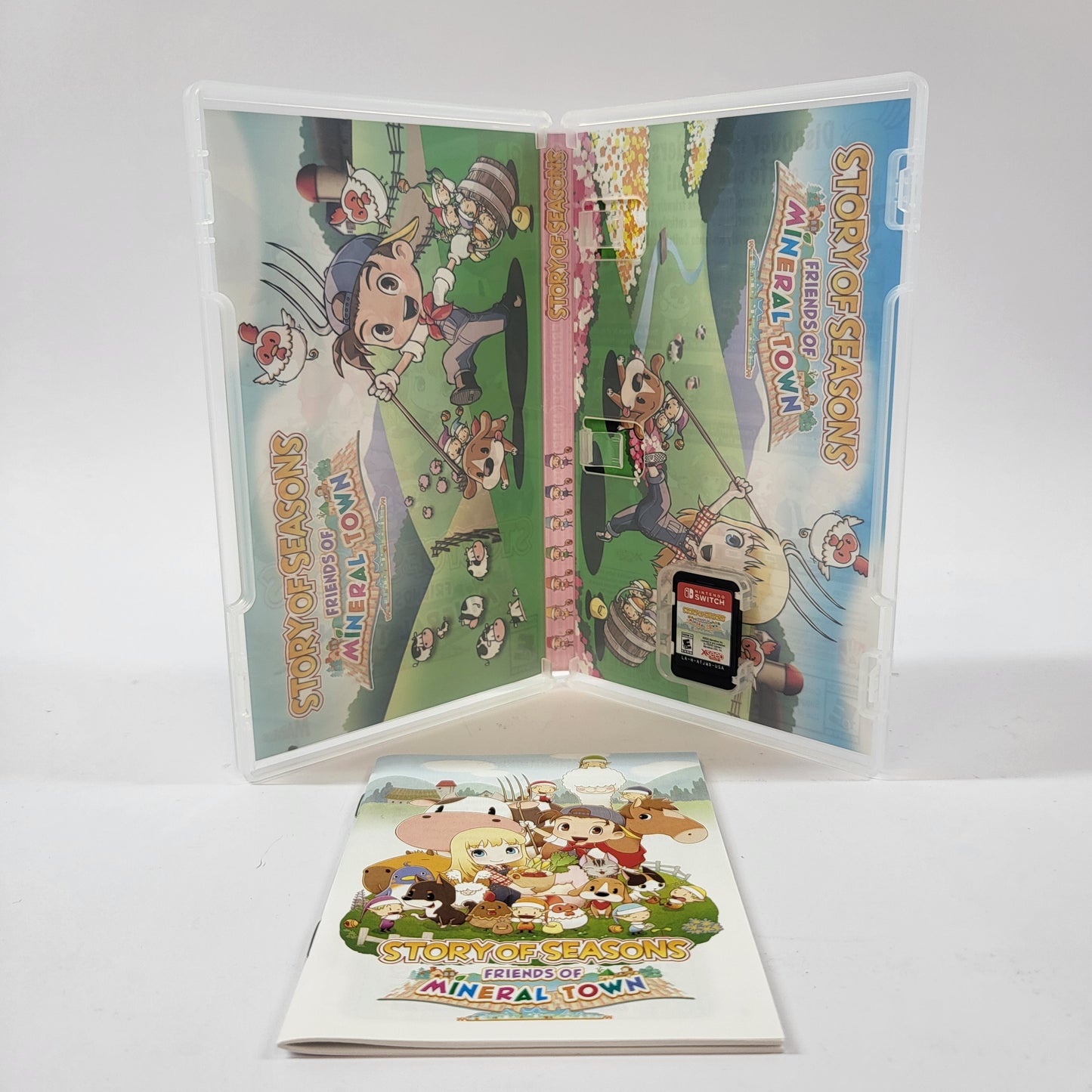 Story of Seasons: Friends of Mineral Town (Nintendo Switch, 2020)