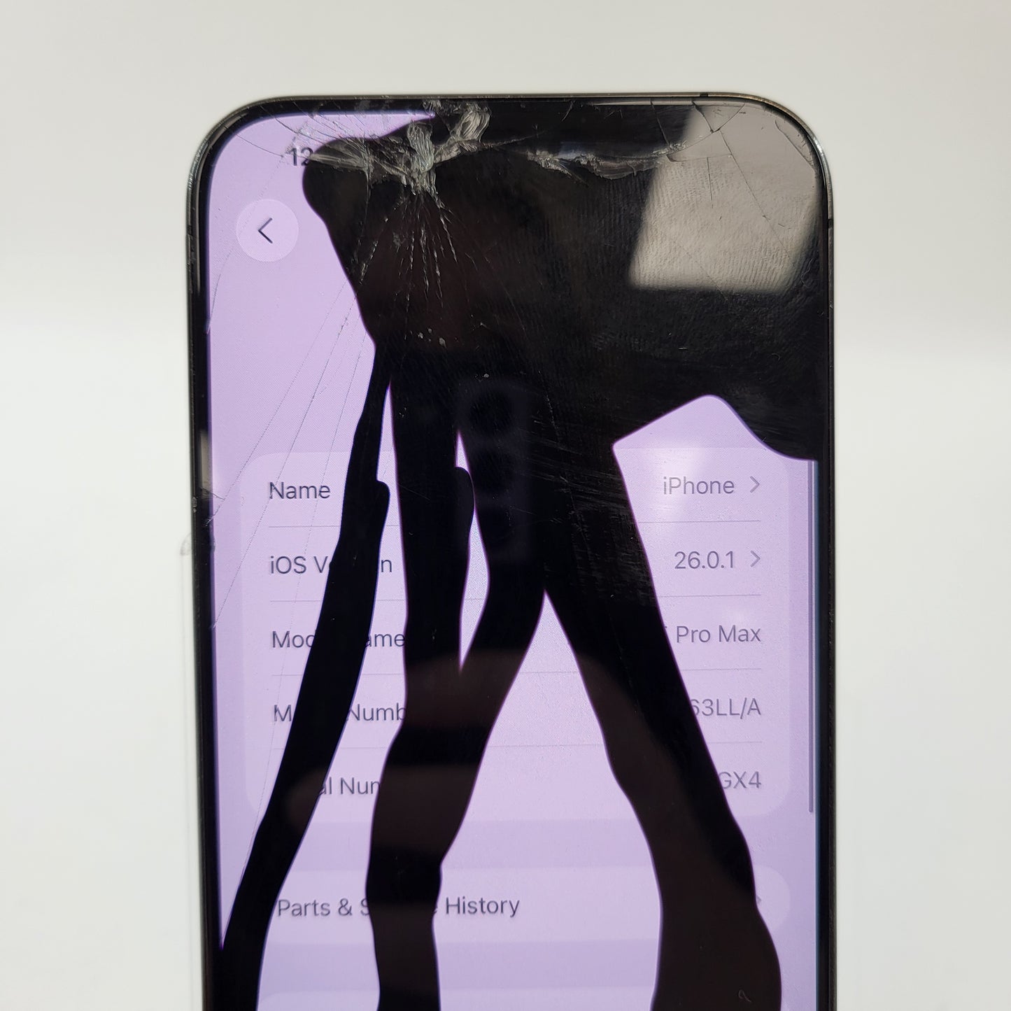 Broken Unlocked Apple iPhone 15 Pro Max 256GB 26.0.1  Cracked Screen and Bad LCD