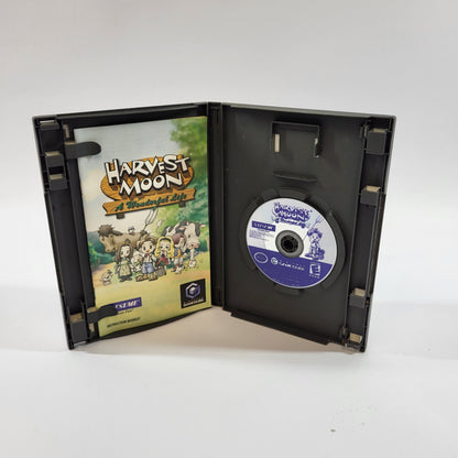 Harvest Moon A Wonderful Life (Nintendo GameCube, 2004)