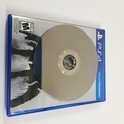 Bloodborne (Sony PlayStation 4 PS4, 2015)