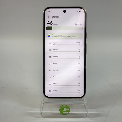 Factory Unlocked Google Pixel 10 Pro XL 256GB Jade GA10432-US