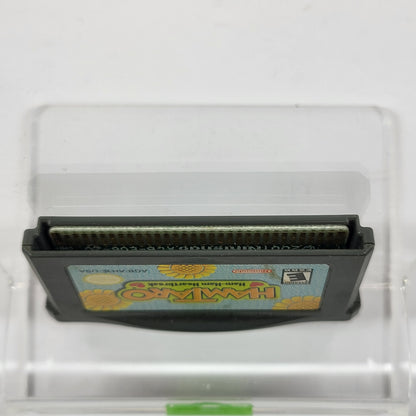 Hamtaro Ham Ham Heartbreak (Nintendo GameBoy Advance, 2003) Cartridge Only