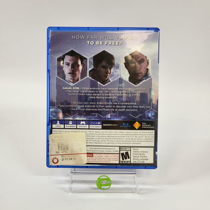 Detroit Become Human (Sony PlayStation 4 PS4, 2018)