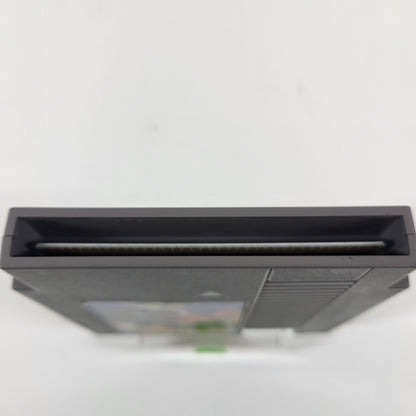 Rygar (Nintendo NES, 1987)