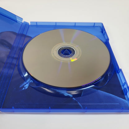 Detroit Become Human (Sony PlayStation 4 PS4, 2018)