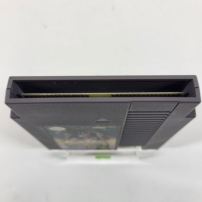 Crystalis (Nintendo NES, 1990)